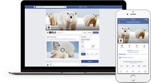Facebook thử nghiệm công cụ hỗ trợ các tổ chức phi lợi nhuận