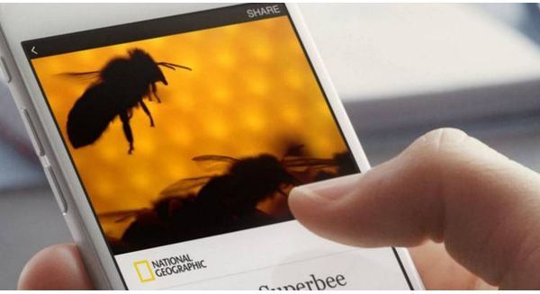Facebook thay đổi chính sách quảng cáo trên Instant Articles