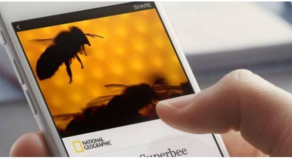 Facebook đẩy mạnh mảng kinh doanh báo chí
