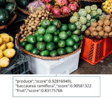 Ứng dụng Google Cloud Vision