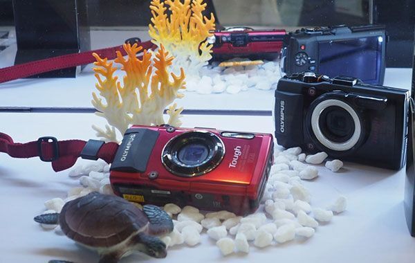 Olympus, trải nghiệm sản phẩm, Olympus OM-D E-M1, máy ảnh Olympus, ống kính M.Zuiko,
