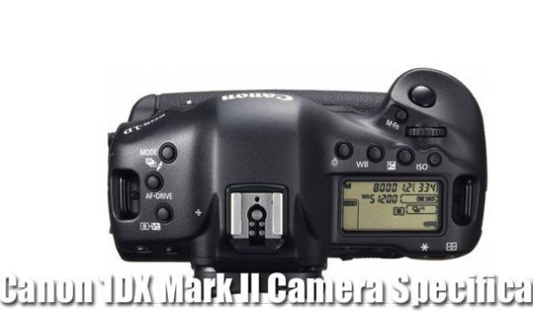 Rò rỉ thông số và giá bán Canon 1DX Mark II