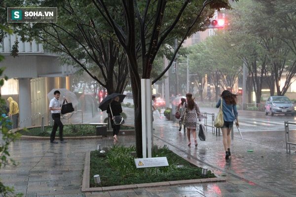 Kỹ sư Nhật phát triển công nghệ thu năng lượng từ bão
