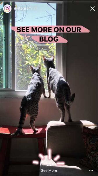 Instagram, thủ thuật Instagram, công cụ, Boomerang, Instagram Stories,