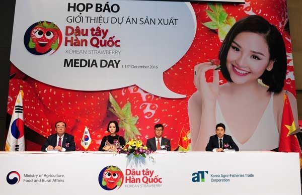 hàn quốc, nông nghiệp công nghệ cao, ứng dụng CNTT vào nông nghiệp, nông sản, Hợp tác Việt Nam - Hàn Quốc, Dâu Tây Hàn Quốc, Miu Lê,