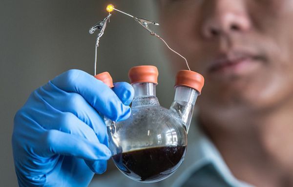 Sắp xuất hiện loại pin làm từ phấn hoa