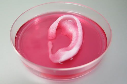Tái tạo các bộ phận con người bằng in 3D