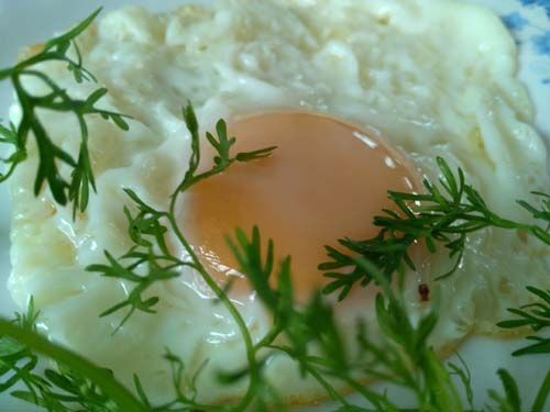 Ảnh chụp chế độ tự động