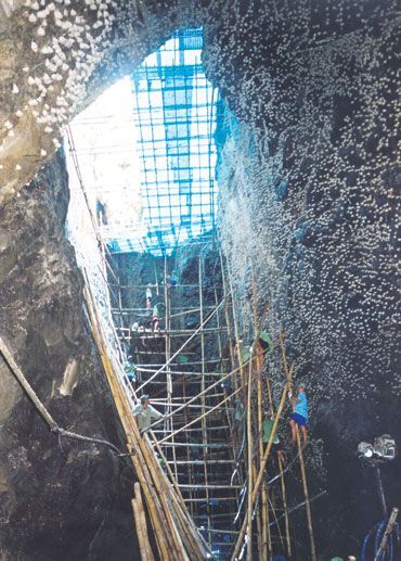 Khai thác yến sào đảo thiên nhiên Khánh Hòa