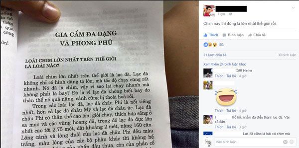 Facebook, mạng xã hội, lạc đà, đà điểu, bão mạngFacebook, mạng xã hội, lạc đà, đà điểu, bão mạng