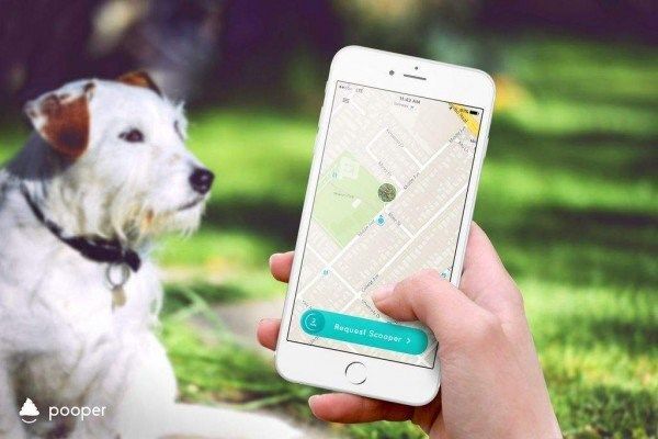 pooper ứng dụng nhặt phân chó