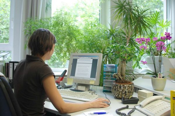 Thứ Hai ư? Không có gì phải sợ!