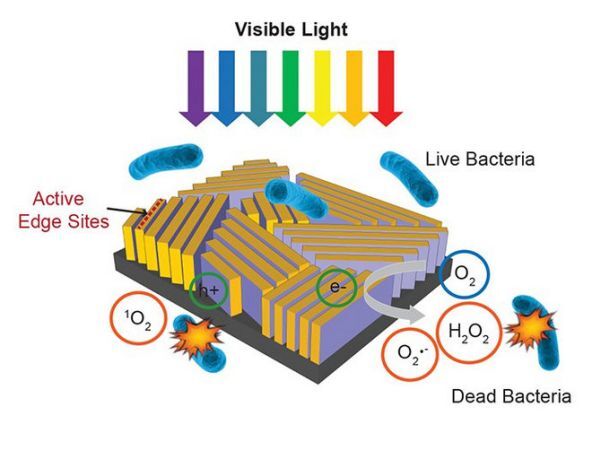 Máy lọc nước bằng con tem nhưng diệt được tới 99% vi khuẩn trong nước bẩn