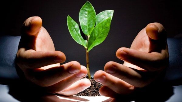 Startup Việt cần gì để lớn?