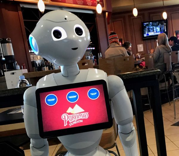 SoftBank bắt đầu đặt robot tại sân bay Mỹ
