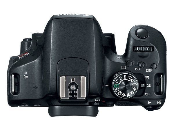 canon, eos 77d, dslr t7i, eos 800D, máy ảnh, ống kính, bluetooth, máy ảnh kĩ thuật số, microless, dslr