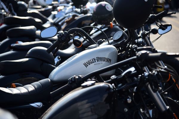 Honda, Harley Davidson, ô tô xe máy, xe phân khối lớn, Day of HOG 2017, Ducati, kawasaki, 