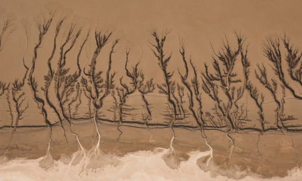 ảnh số, ảnh nghệ thuật, cuộc thi ảnh, smithsonian,