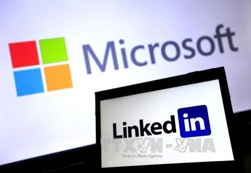 Microsoft gửi thông báo sa thải tới 50.000 nhân viên