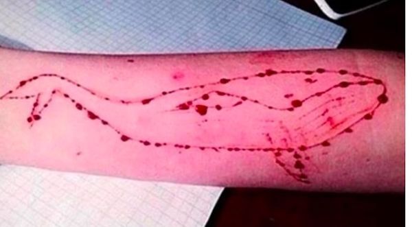 Tựa game di động Blue Whale khiến nhiều bạn trẻ tự sát
