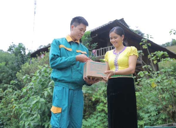 Viettel Post, logistics, chuyển phát nhanh, Doanh thu Viettel Post, 