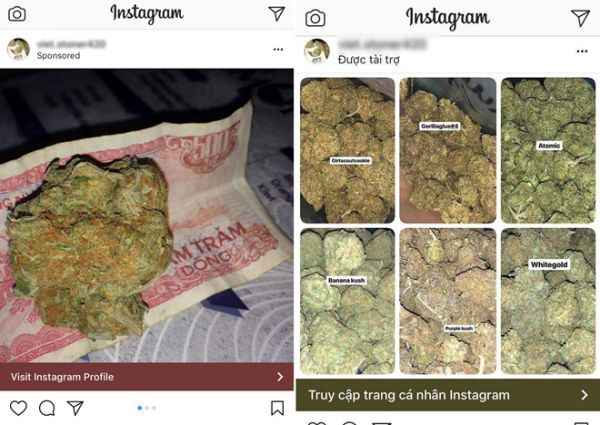 Cần sa, một loại chất kích thích bị cấm ở Việt Nam ngang nhiên quảng cáo trên Instagram.