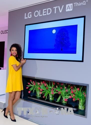 LG đưa dòng OLED TV mới ra thị trường thế giới