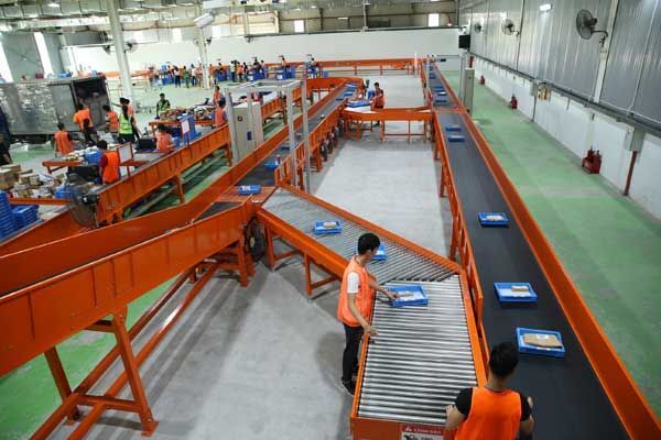 Lazada Vietnam, Lazada, kho vận, logistic, phân loại hàng hóa,