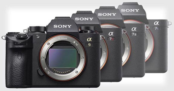 Sony đã trở thành hãng máy ảnh số 1 tại thị trường Mỹ