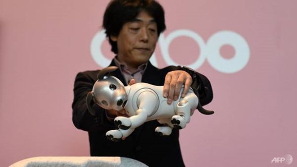 AI Robotics Business Group của Sony cùng chó con robot Aibo