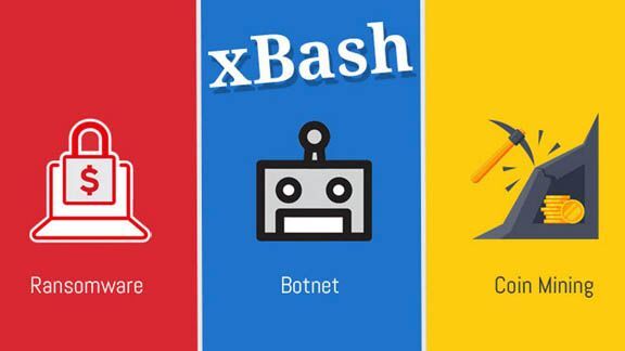 Phát hiện malware mới tấn công người dùng Windows và Linux