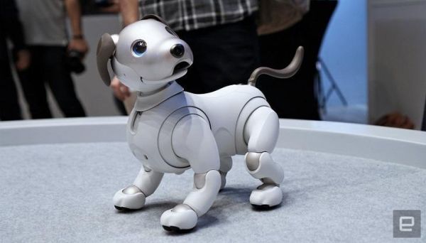 robot, IFA, thiết bị IoT, trí tuệ nhân tạo, AI, thiết bị điện tử tiêu dùng, IFA 2018, 