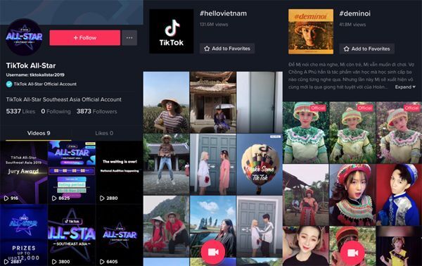 TikTok, TikTok Việt Nam, TikTok’s Best of 2019, văn hóa đại chúng, 