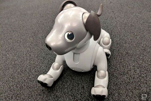 Sony Aibo 2019 - AI 
