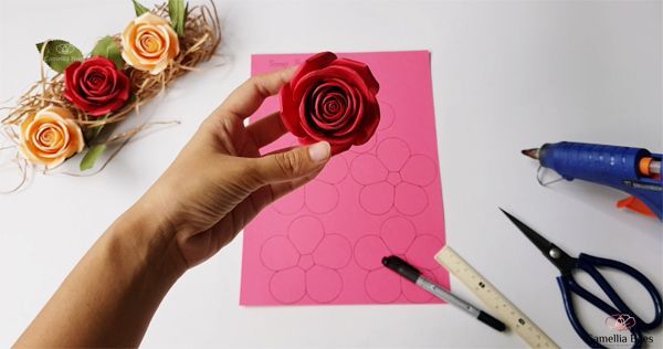thương mại điện tử, Amazon, Startup Việt, Camellia Bees, Amazon Global Selling,