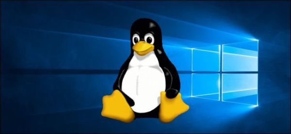 Microsoft cho phép dùng nhân Linux tùy chỉnh trên Windows 10