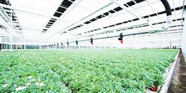Hướng tới thị trường châu Âu nhờ các giải pháp 