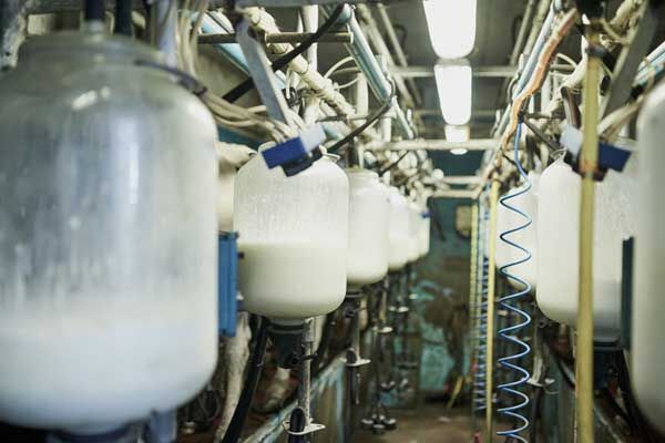 Bốn kịch bản cho tương lai ngành sữa: Công nghệ là trọng số quyết định