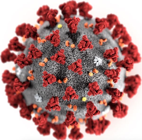 Cảnh báo về mã độc ẩn trong tài liệu giả mạo về virus corona
