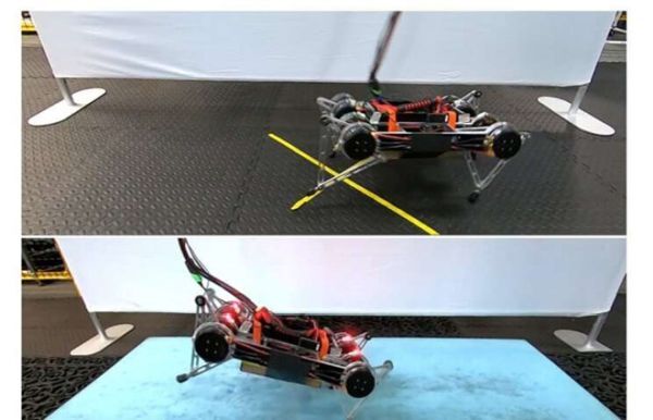 Robot của Google có thể tự biết cách bước đi