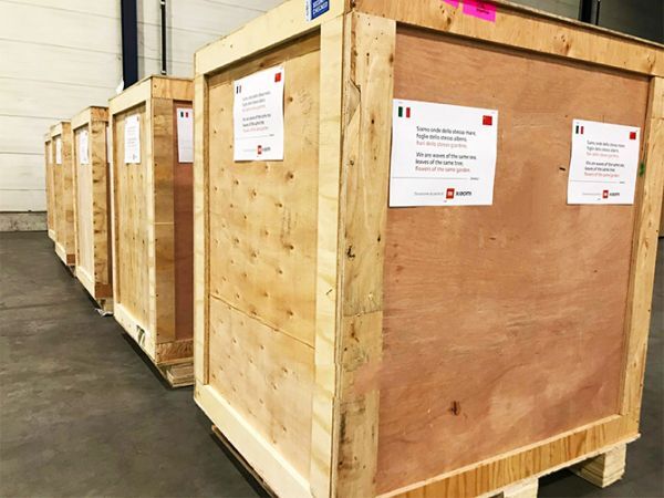 Xiaomi tặng khẩu trang cho Italy