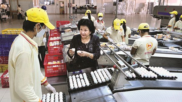 MasterCard, nữ doanh nhân, đối phó COVID-19, CARE,