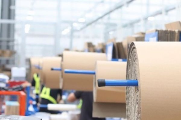Chiến dịch Go Green của Tiki đang đạt được những kết quả tích cực