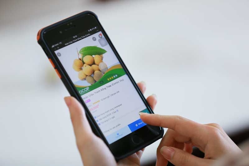 App vỏ sò