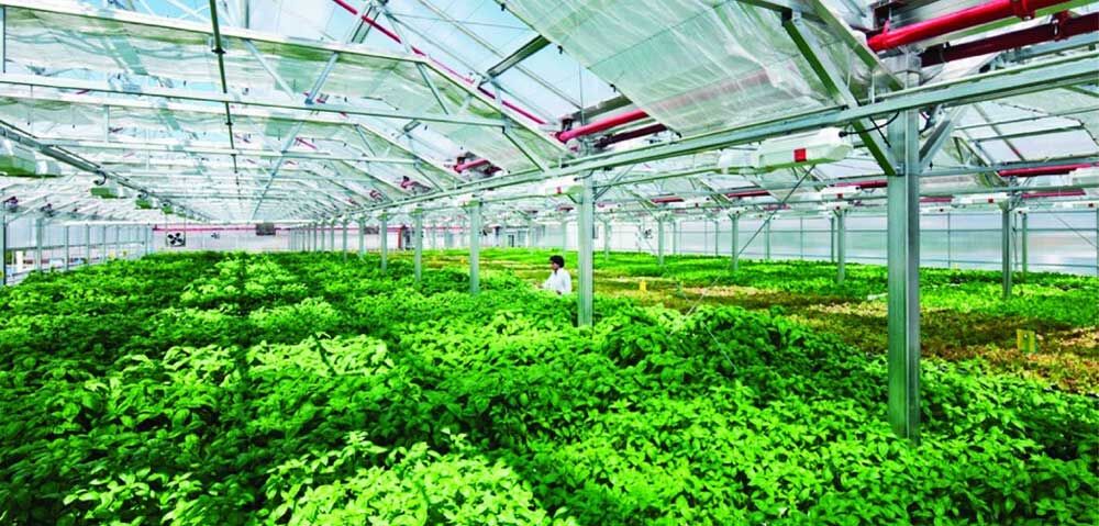 Chuyển đổi số trong Nông nghiệp: Bộn bề 