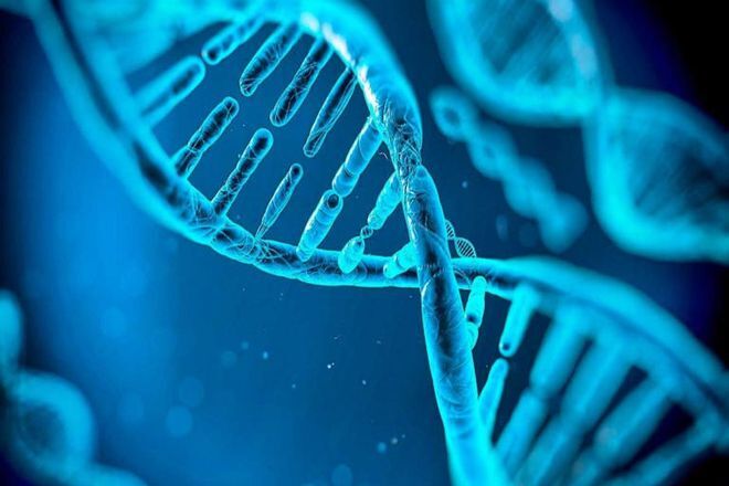 Công ty giải mã gen Genetica huy động được 2,5 triệu USD