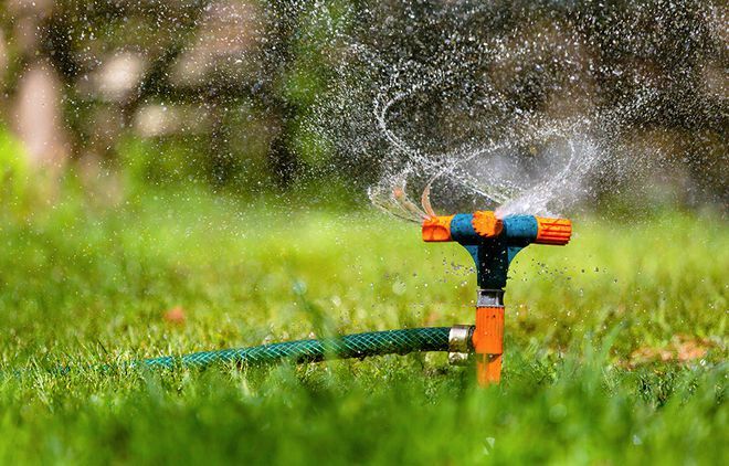 Tưới tiêu thông minh với máy ảnh kỹ thuật số và AI