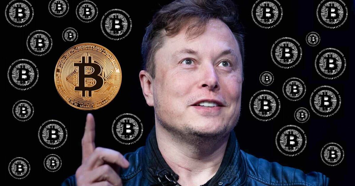 Elon Musk lại tìm cách "thổi giá" Bitcoin