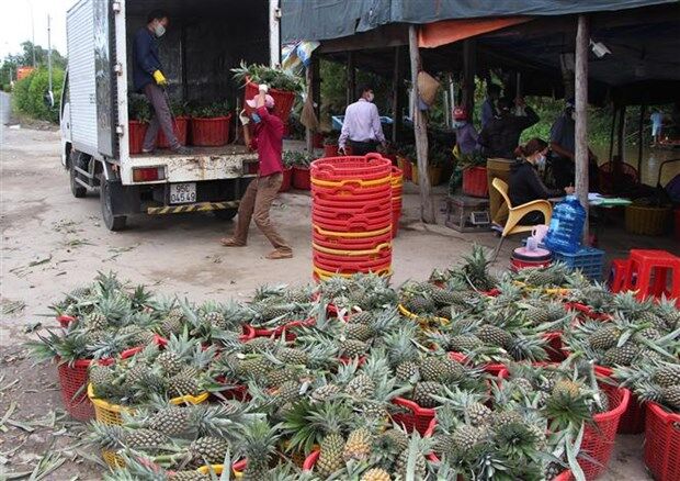 Kết nối cung - cầu sản phẩm nông nghiệp "chuẩn" và nhanh hơn nhờ công nghệ