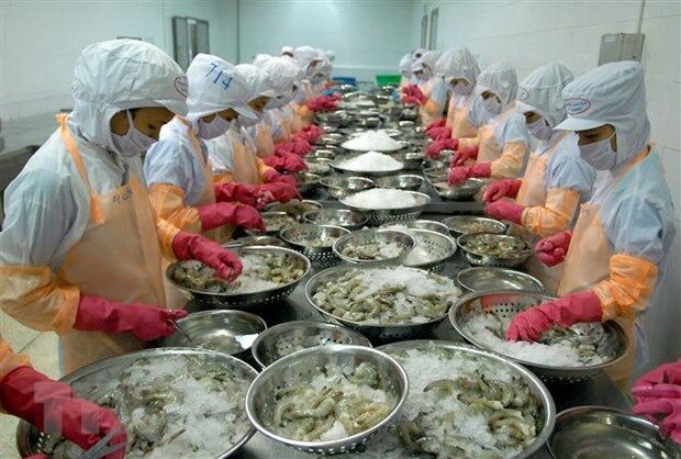Ung dung cong nghe so trong ket noi cung cau san pham nong nghiep hinh anh 2